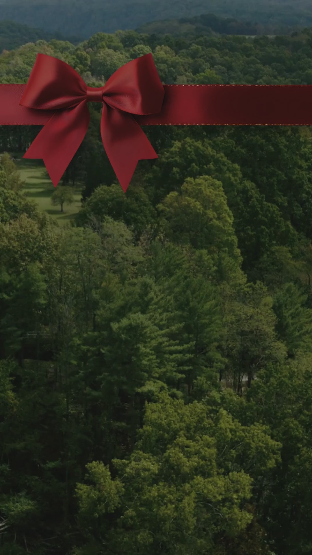 Load video: Almost Heaven Saunas December Sale Video