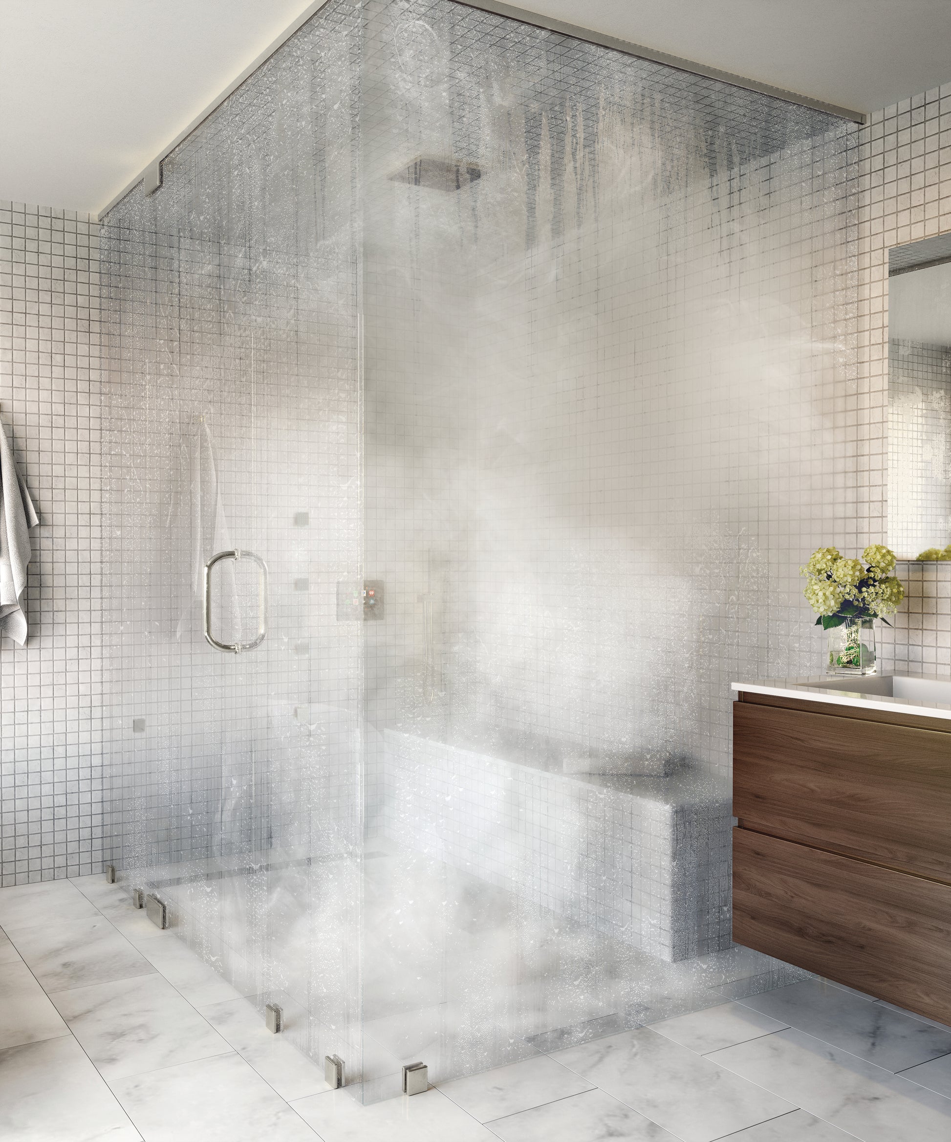 Steam Suite — Steam Shower - Steam Generators